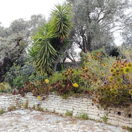 Bonifacio, Maison 90M² Sous Les Oliviers, Vue Sardaigne Боніфачо Екстер'єр фото