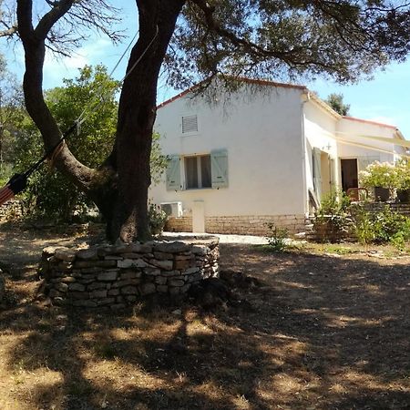 Bonifacio, Maison 90M² Sous Les Oliviers, Vue Sardaigne Боніфачо Екстер'єр фото
