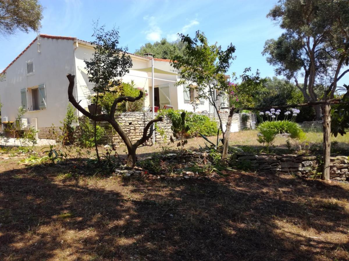 Bonifacio, Maison 90M² Sous Les Oliviers, Vue Sardaigne Боніфачо Екстер'єр фото