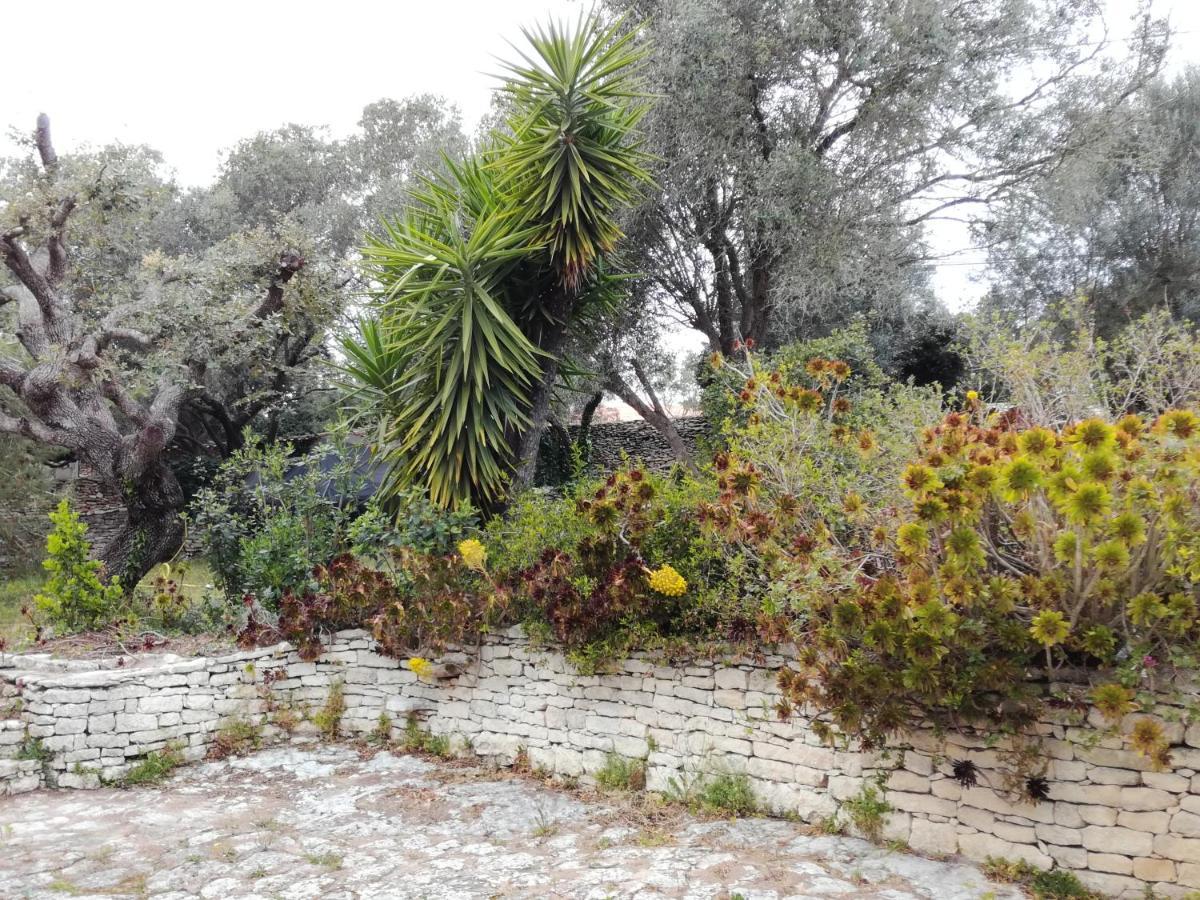 Bonifacio, Maison 90M² Sous Les Oliviers, Vue Sardaigne Боніфачо Екстер'єр фото