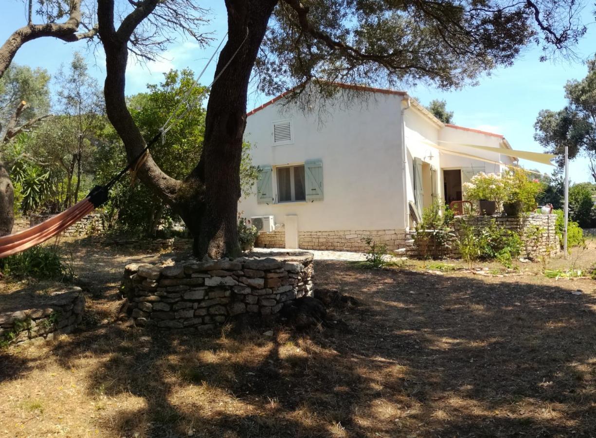 Bonifacio, Maison 90M² Sous Les Oliviers, Vue Sardaigne Боніфачо Екстер'єр фото